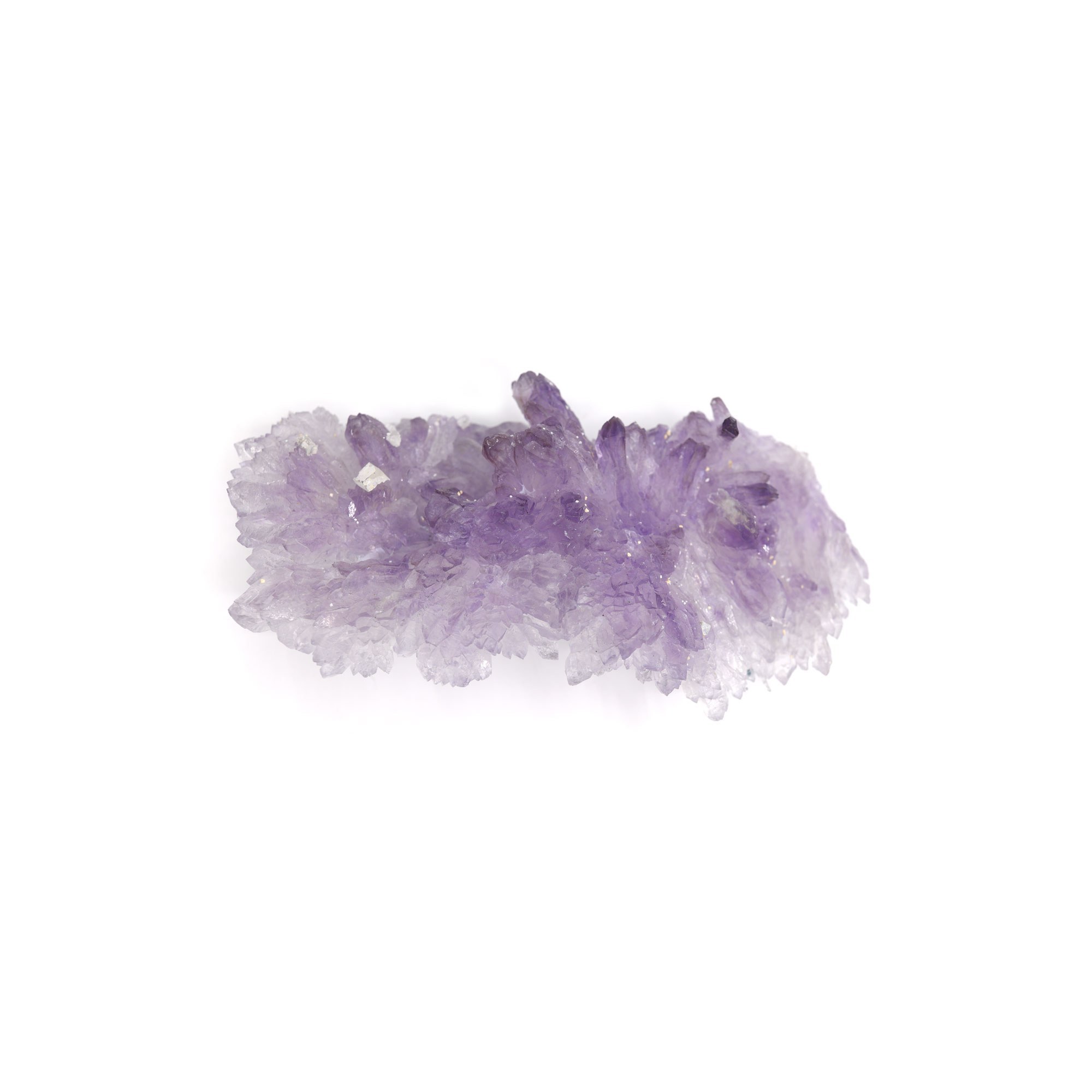 CLAMY351 G front3 faipo