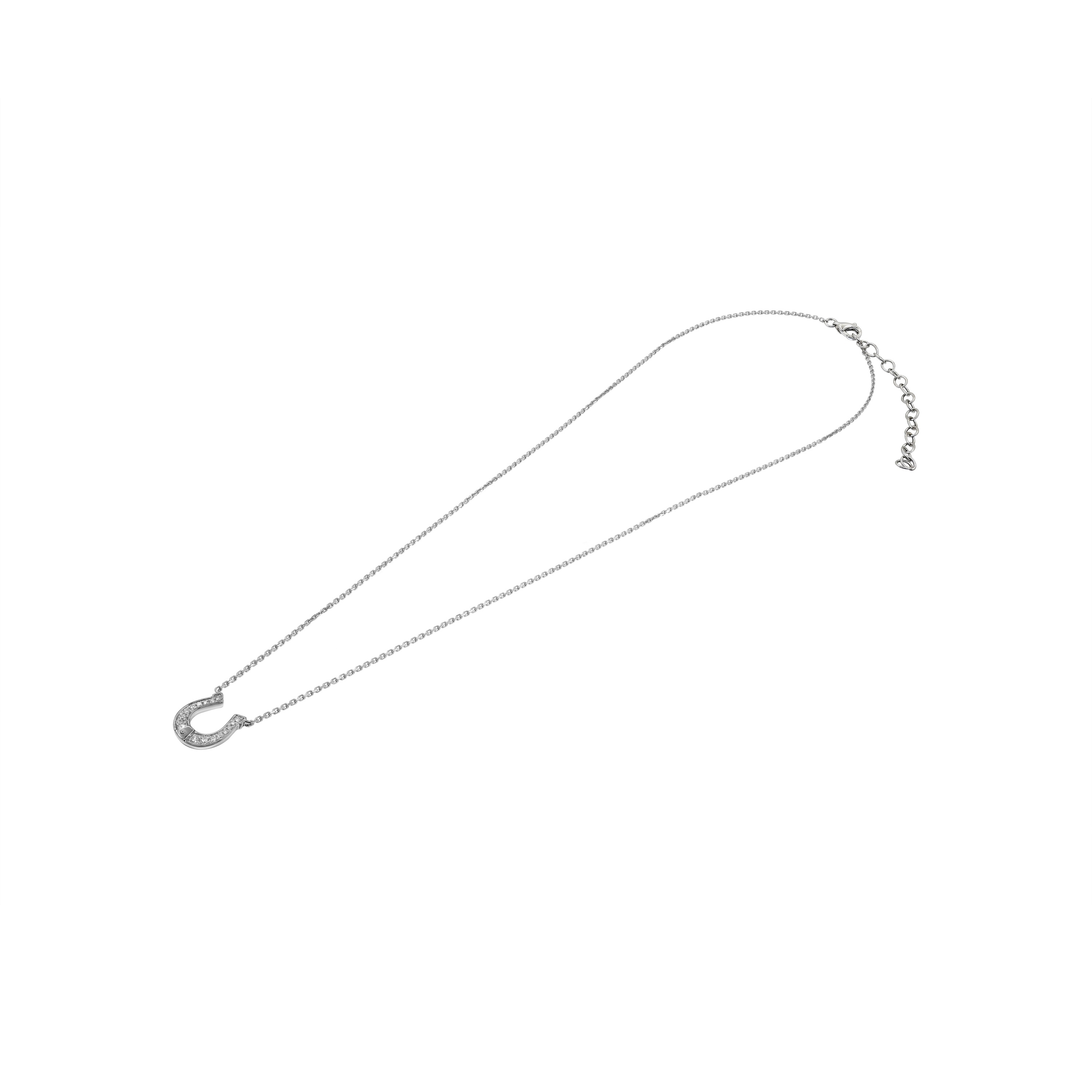 MN810224 D 1 front2 faipo