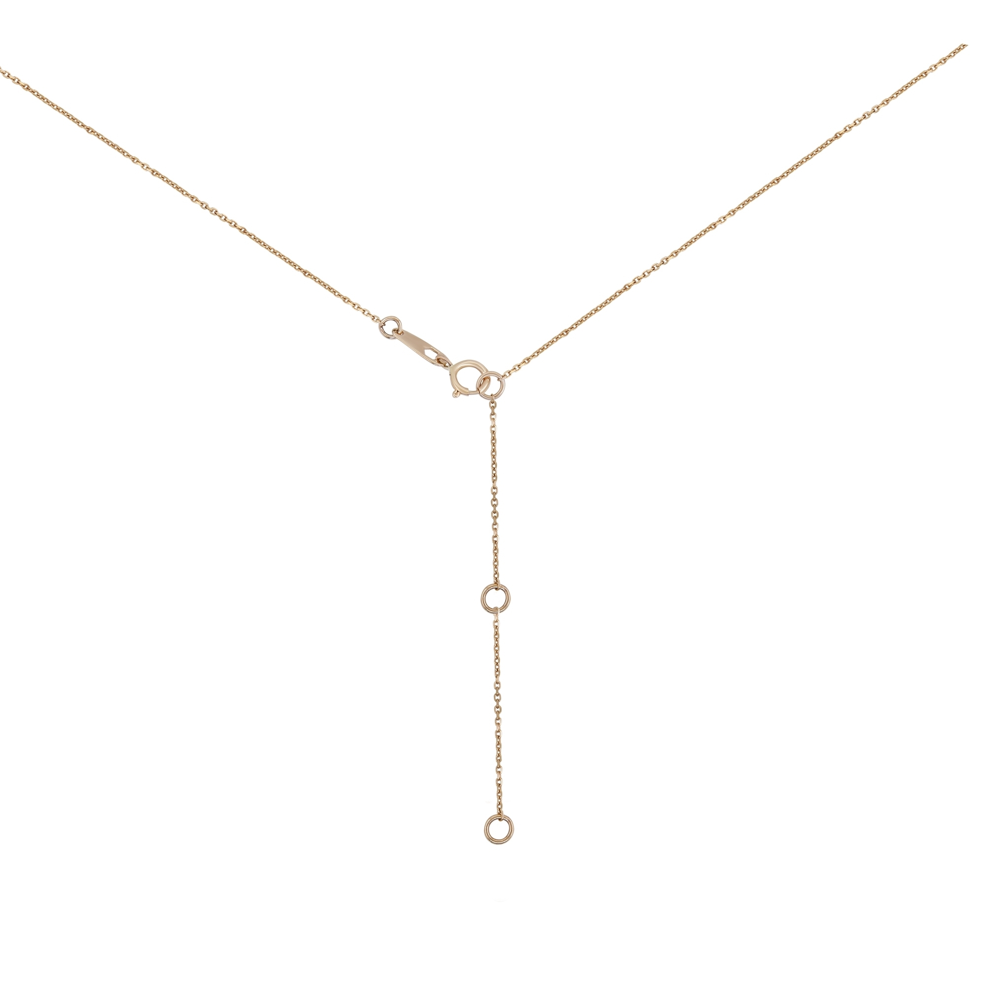 MN811415 K 1 front3 faipo