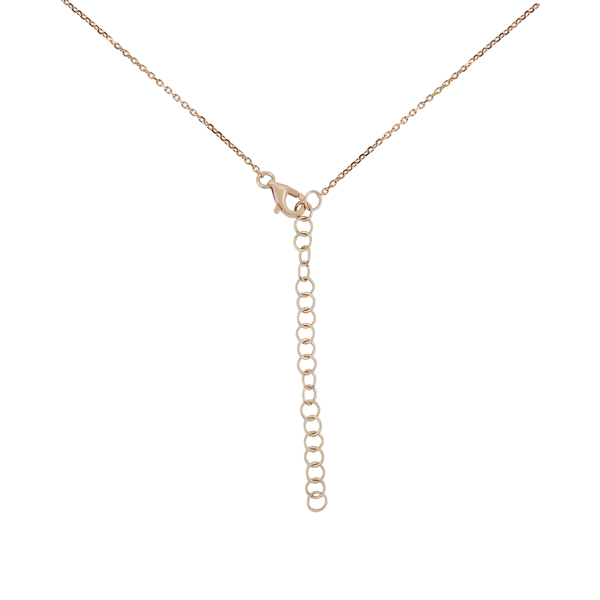 MN811420 K 1 front3 faipo