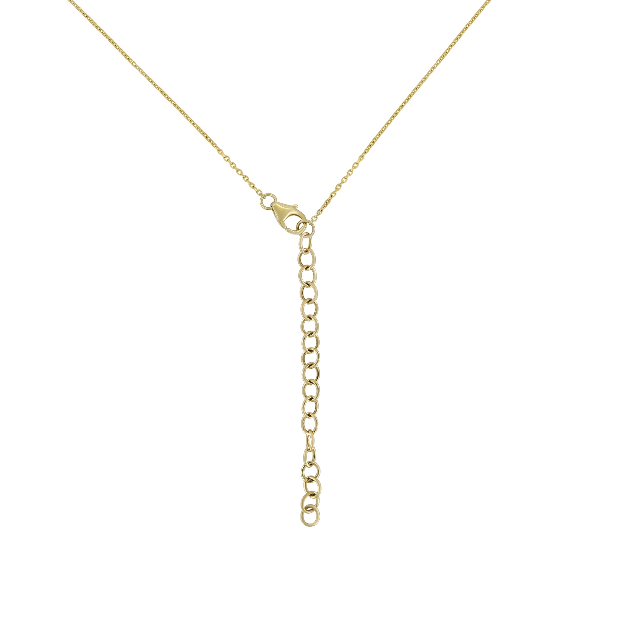 MN811544 K 1 front3 faipo