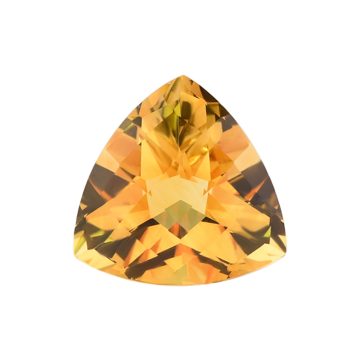 CBCCOATPP1212 front1 faipo