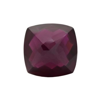 CBGNTNSPP0909 front3 faipo