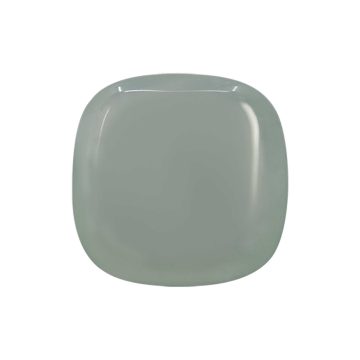 CBPROASNN1010 front1 faipo