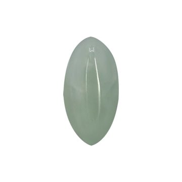 CBPROASNN1010 front2 faipo