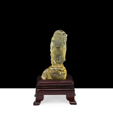 CVCIT77 G front1 faipo