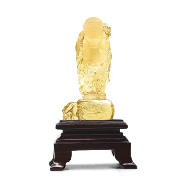 CVCIT84 G front1 faipo