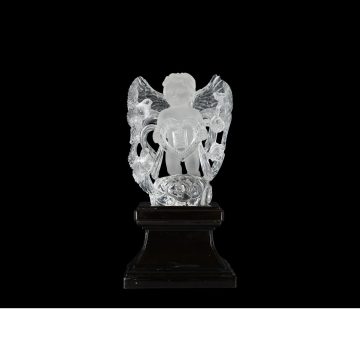 CVCRY684 G front1 faipo