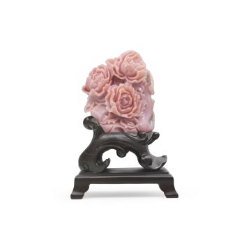 CVOPP255 G front1 faipo