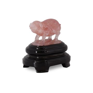 CVRQZ318 G front2 faipo