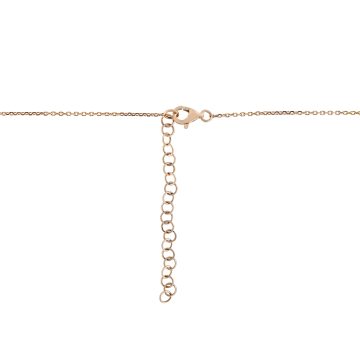 MN807423 K 2 front3 faipo