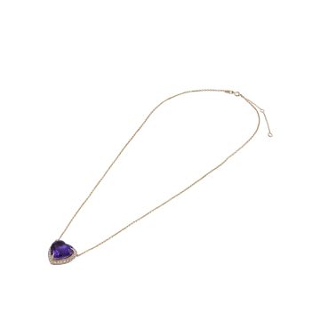 MN811415 K 1 front2 faipo