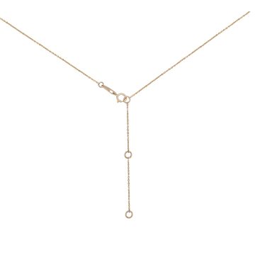 MN811415 K 1 front3 faipo