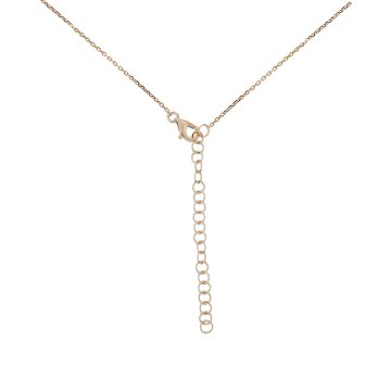 MN811420 K 1 front3 faipo