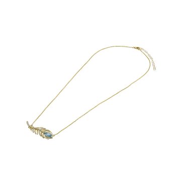 MN811544 K 1 front2 faipo