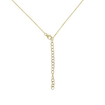 MN811544 K 1 front3 faipo