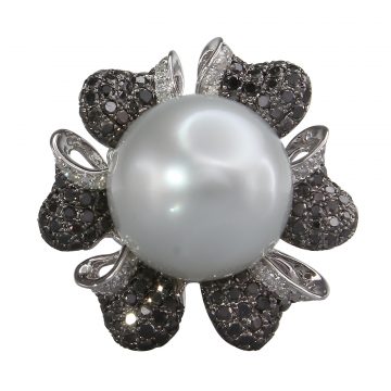 WR87012 T 1 front1 faipo